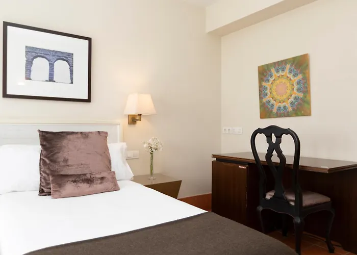 圣安托尼奥皇家酒店 塞哥维亚